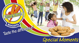 nice-and-fresh-biscuits-photo